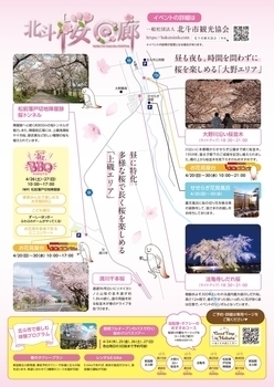 北斗桜回廊チラシ裏